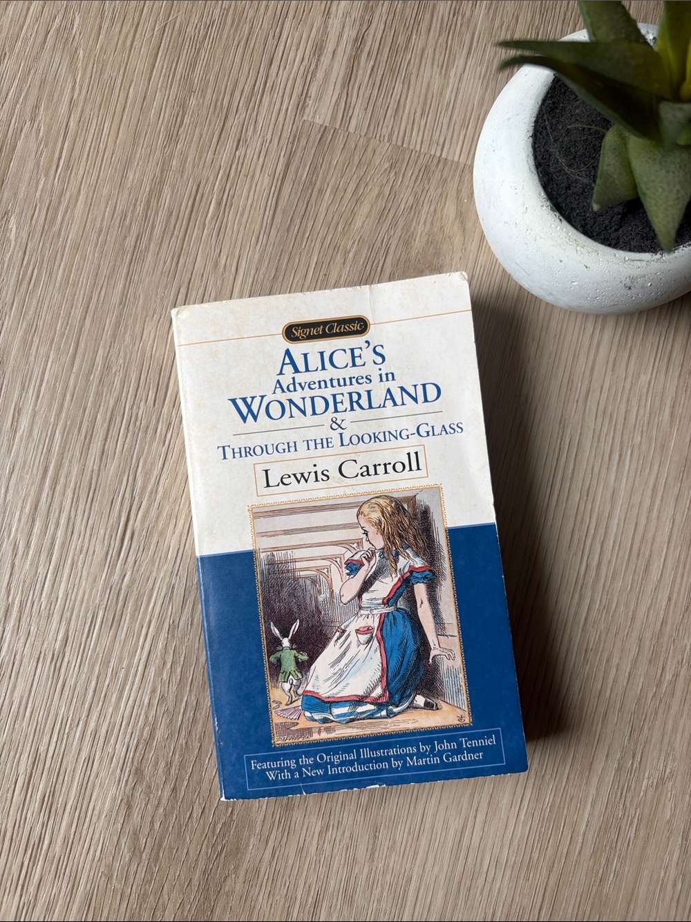 Books | Alice’s Adventures in Wonderland by Lewis Carroll
